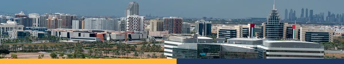 Silicon Oasis