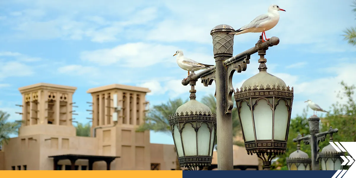 Dubai-Real-Estate Real Estate