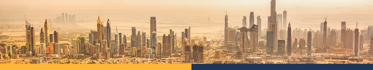 Real Estate Investment